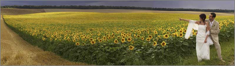 panoramique